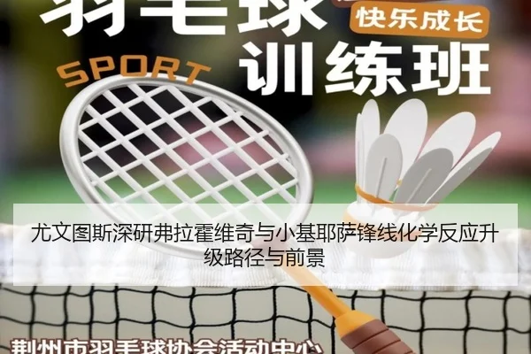 尤文图斯深研弗拉霍维奇与小基耶萨锋线化学反应升级路径与前景